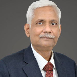 Mr. Amar Gupta