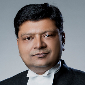 Hon’ble Mr. Justice Shekhar B. Saraf
